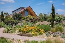RHS Garden Hyde Hall Dry Garden, Chelmsford Essex